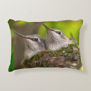 Baby hummingbirds decorative pillow