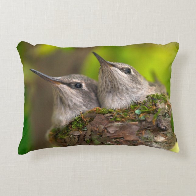 Baby hummingbirds decorative pillow (Front)