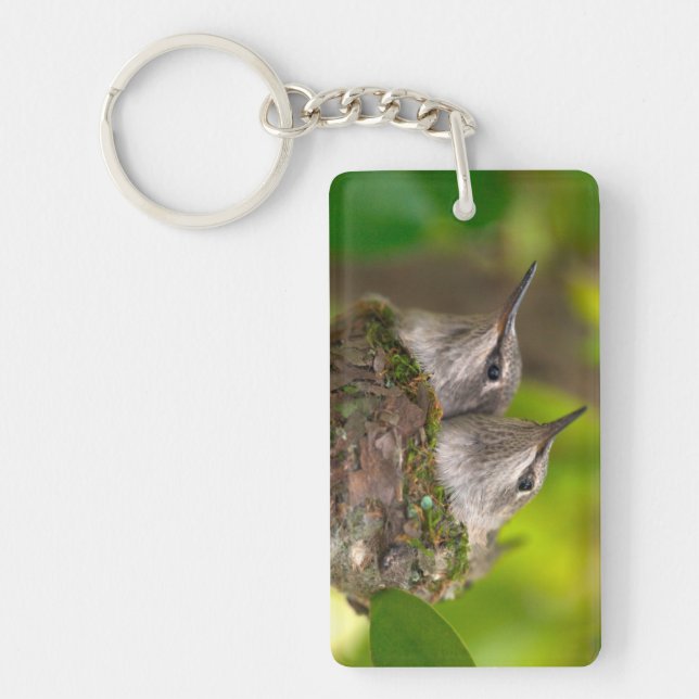 Baby hummingbirds keychain (Front)