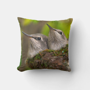 Baby hummingbirds throw pillow