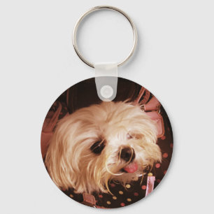 Baby in a Bag Maltese Puppy Keychain