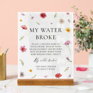 Baby in Bloom Baby shower My Water Broke Jeu