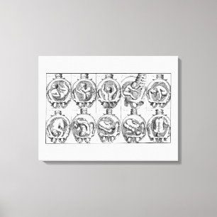 Baby in womb Vintage Midwife anatomy illustration Canvas Print