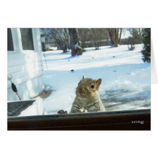 Baby It's Cold Outside