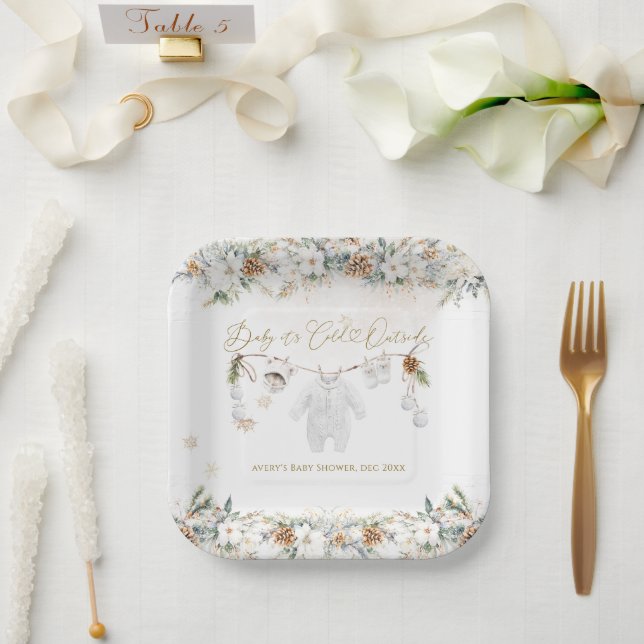 Baby Its Cold Outside Clothest Line Baby Shower Paper Plate (Wedding)