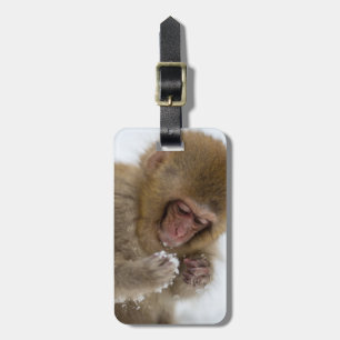 Baby Japanese Macaque   Snow Monkey Luggage Tag