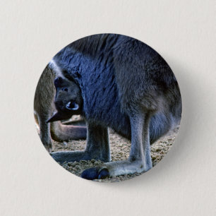 Baby kangaroo in mother's pouch - Australia 2 Inch Round Button