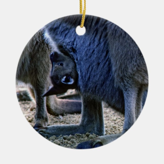 Baby kangaroo in mother's pouch - Australia Ceramic Ornament (Front)