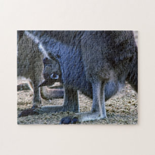 Baby kangaroo in mother's pouch - Australia Jigsaw Puzzle