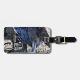 Baby kangaroo in mother's pouch - Australia Luggage Tag