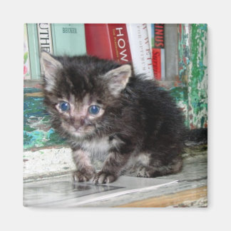 Baby Kitty Magnet