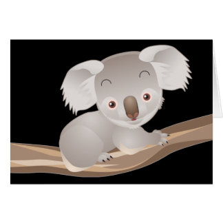 Baby Koala