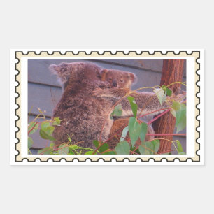Baby koala Fake stamp Sticker