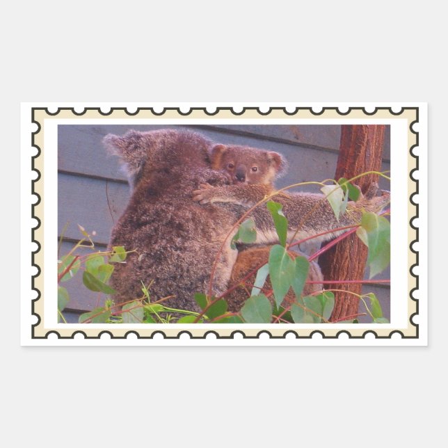 Baby koala Fake stamp  Sticker (Front)