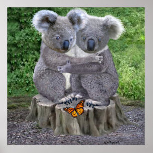 BABY KOALA HUGGIES POSTER