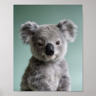 Baby Koala Portrait – Cute Nursery Animal Wall Art