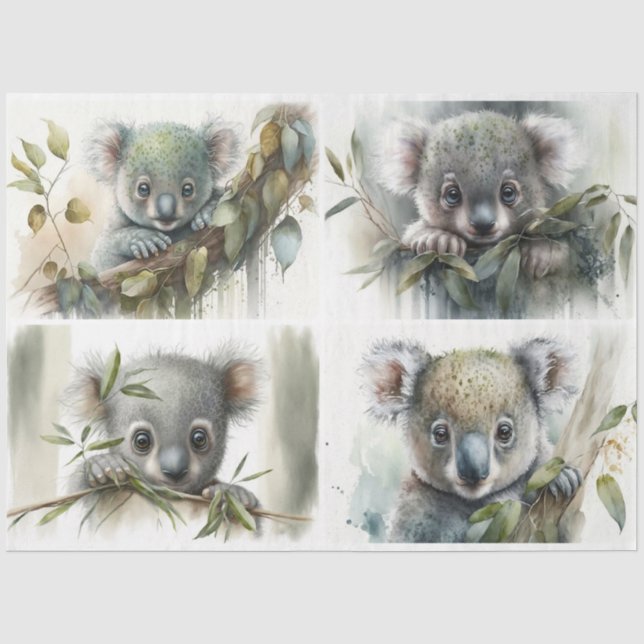 baby Koalas Tissue Paper (Front)
