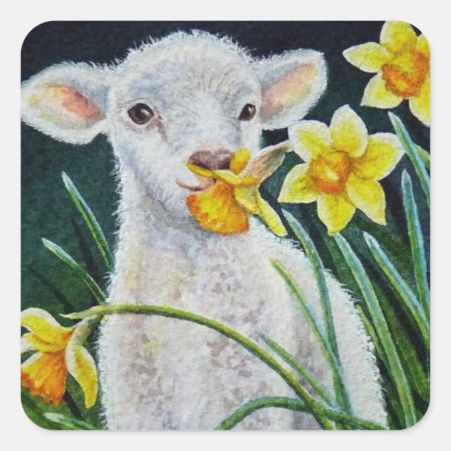 Baby Lamb and Spring Daffodils Watercolor Art Square Sticker (Front)