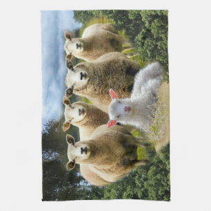 Baby Lamb Sheep Herd Flock Kitchen Towel