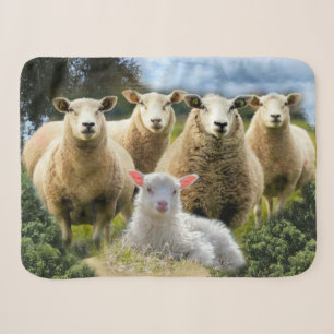 Baby Lamb Sheep Herd Flock Sherpa Blanket