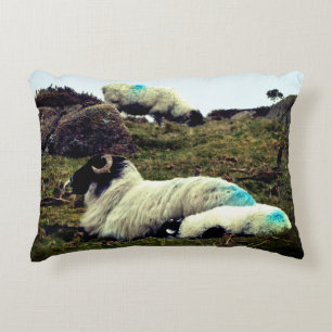 Baby Lamb Sleeping Near Wistman's Wood Accent Pillow
