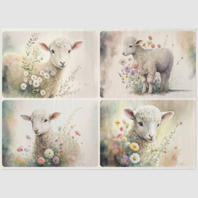 Baby Lambs Tissue Paper (Front)