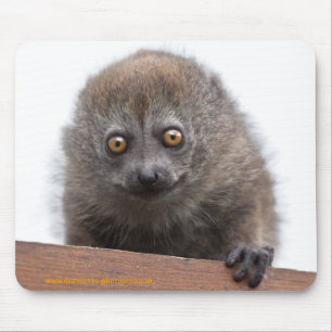 Baby Lemur Mousemat Mouse Pad