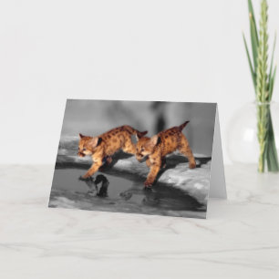 Baby Leopards Card