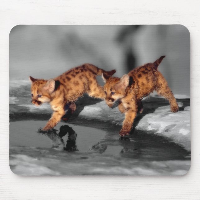 Baby Leopards Mouse Pad (Front)