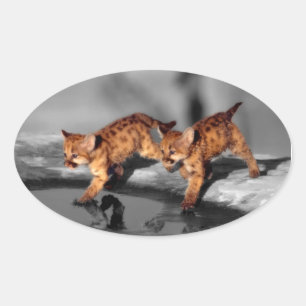 Baby Leopards Oval Sticker