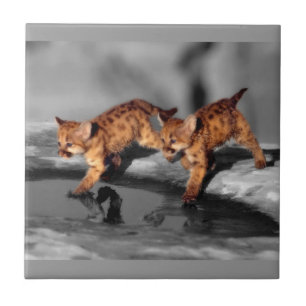 Baby Leopards Tile
