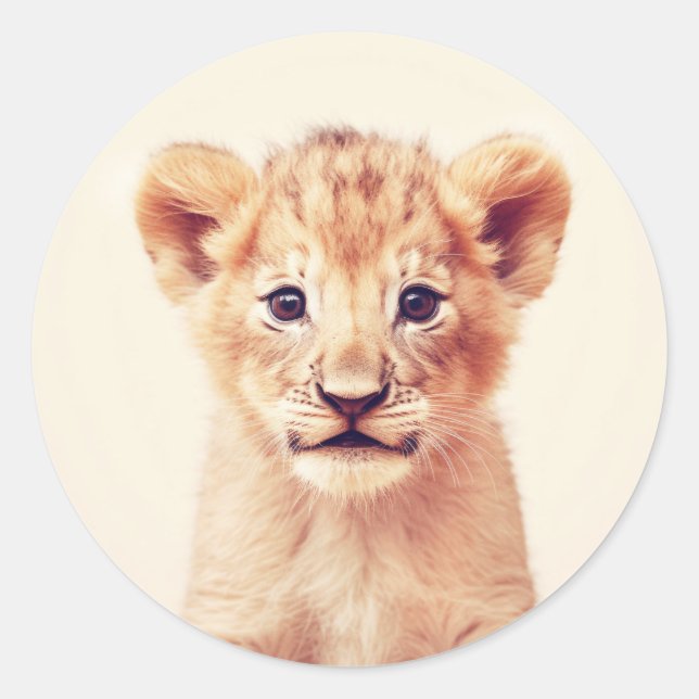 Baby Lion Classic Round Sticker (Front)