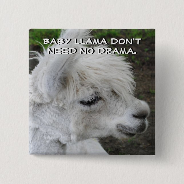 Baby Llama Don't Need No Drama 2 Inch Square Button (Front)
