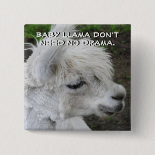Baby Llama Don't Need No Drama 2 Inch Square Button