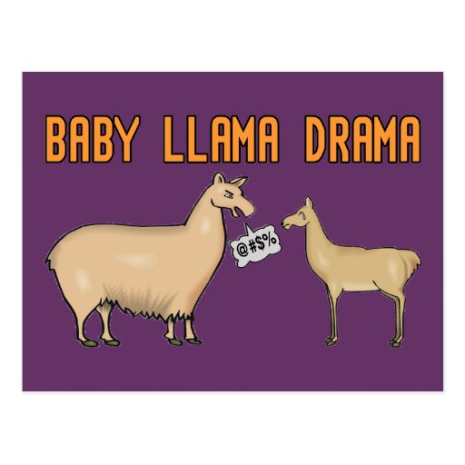 Baby Llama Drama Postcard | Zazzle