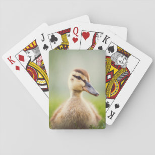 Baby Mallard Ducking Playing Cards
