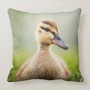Baby Mallard Ducking Throw Pillow