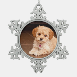 Maltipoo christmas ornament clearance