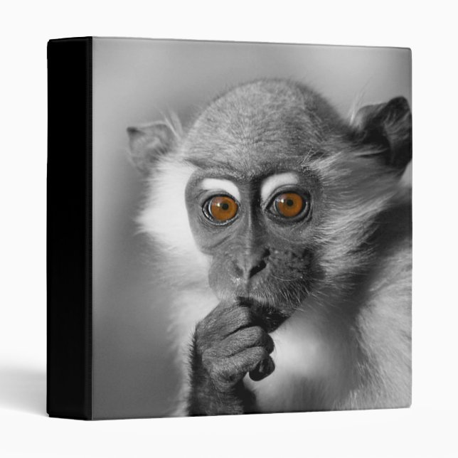 Baby Mangabey Monkey Binder (Front/Spine)
