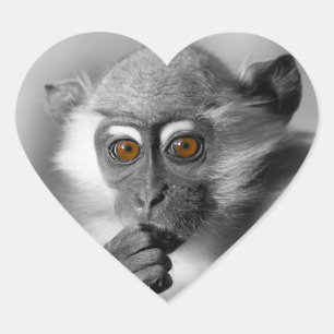 Baby Mangabey Monkey Heart Sticker