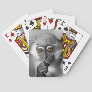 Baby Mangabey Monkey Playing Cards