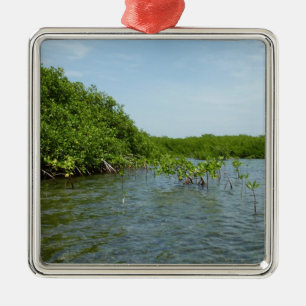 Baby Mangrove Trees Caribbean Nature Metal Ornament