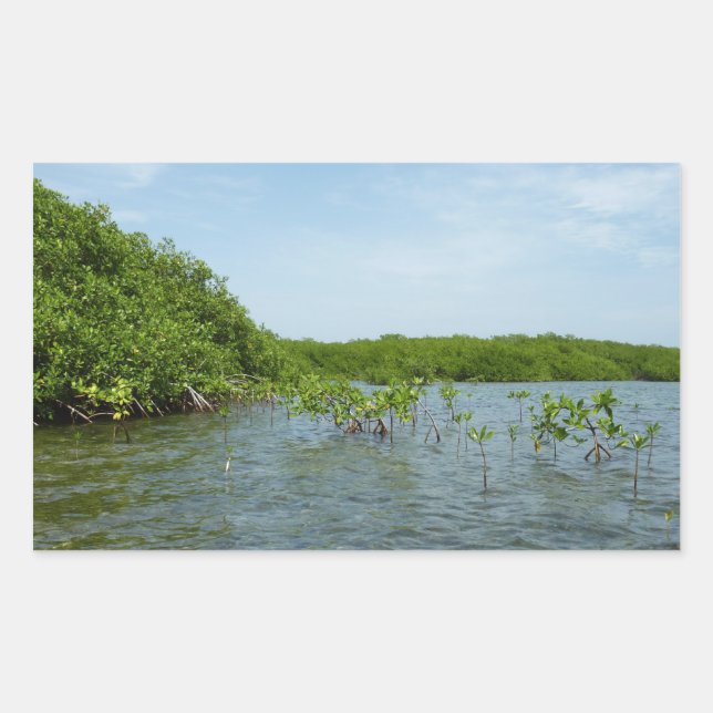 Baby Mangrove Trees in the Caribbean  Sticker (Front)