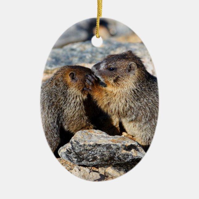 Baby Marmots Ceramic Ornament (Front)