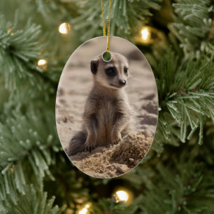 Baby Meerkat Playing In Sand, Ceramic Ornament