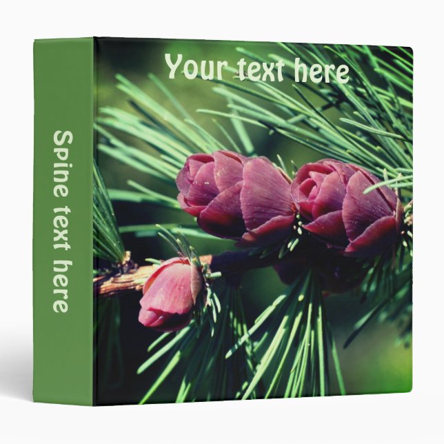 Baby Miniature Pine Cones Nature Personalized Binder (Front/Spine)