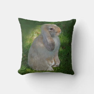 Baby Minilop Rabbit Pillow