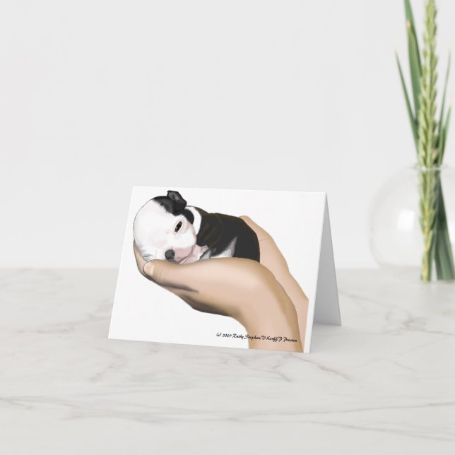 Baby Mitre Note Cards (Front)