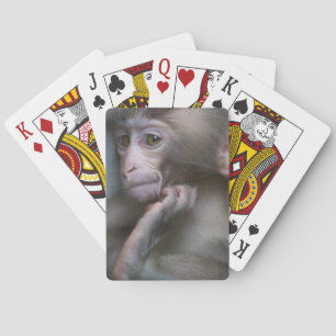 Baby Monkey Playing Cards