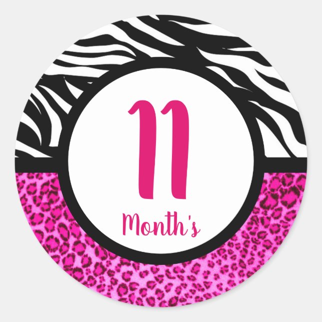 Baby Month Stickers (Front)